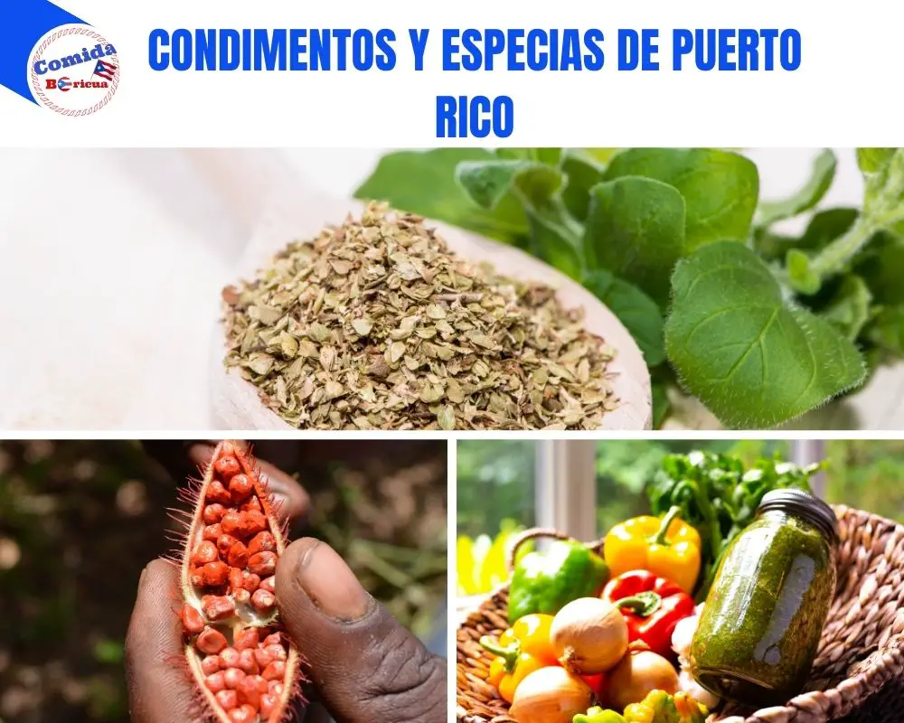 Condimentos, salsas y especias mas usadas en Puerto Rico